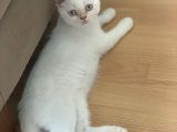 Lütfen Sadece Ciddi Alıcılar Ulaşsın