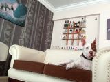 Red Nose Çakıl Kızımızı Sahiplendiriyoruz