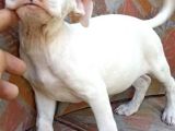 A Kalite Uygun Fiyat