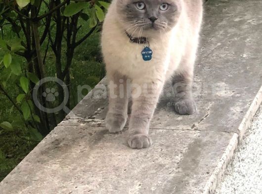 Oğlumuz Pablo Kayıp görsel