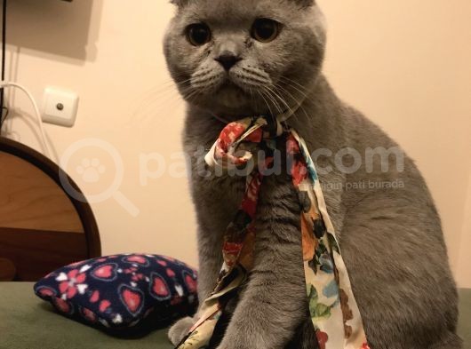 Oğlumuzu Sahiplendireceğiz görsel