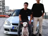 1 Yaşında Dişi Dogo İstanbul