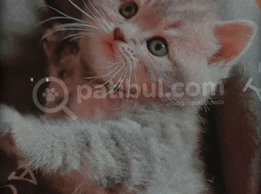 En Şekerleri̇ Bi̇zi̇mki̇ler görsel