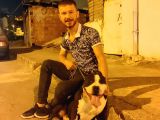 Staff Pitbull