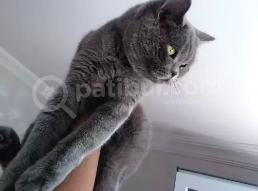Güzel Annemiz Bebeklerimiz
