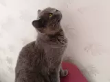 Güzel Annemiz Bebeklerimiz