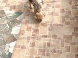 3 Aylık Erkek Terrier Aşıları Yapılmış Tuvalet Eğitimi Var