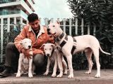 5 Aylık Yeni Yuvasına Oldukça Hazır Tek Gözü Masmavi Acil