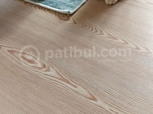 İki Buçuk Aylık Egzotik Shorthair görsel