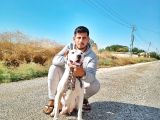 A Kali̇te Dogo Argenti̇no Yavrularimiz Yeni̇ Sahi̇pleri̇ni̇ Bekli̇yor