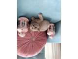 British Shorthair Lilac Dişi Ve Erkek Yavrular