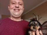 Teacup Yorkshire Terrier Yavruları