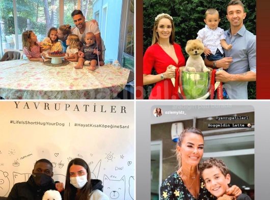 Irk Ve Sağlık Garantili Pomeranian Boo Yavrularımız görsel