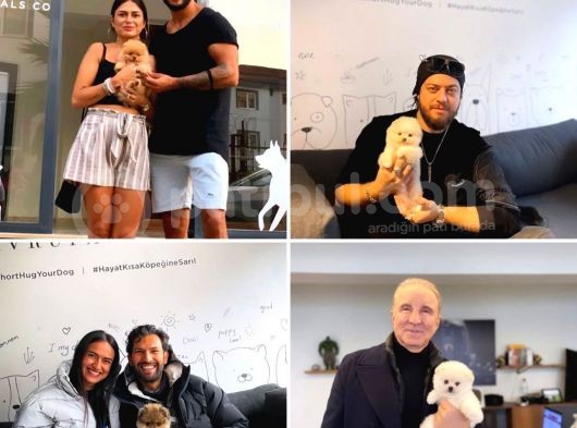 Yavru Patiler Güvencesiyle Pomeranian Boo Yavrularımız görsel