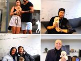 Yavru Patiler Farkı İle Pomeranian Boo Yavrularımız