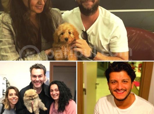 Mini Boy Pomeranian Boo Yavrularımız görsel
