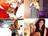 Yavru Patiler Farkı İle Pomeranian Boo Yavrularımız