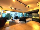 Yavru Patiler Güvencesiyle Pomeranian Boo Yavrularımız