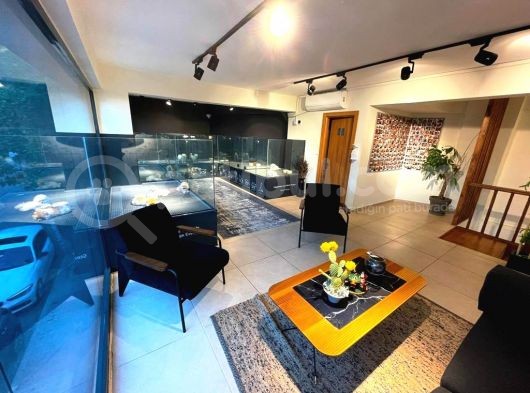 Yavru Patiler Güvencesiyle Pomeranian Boo Yavrularımız görsel