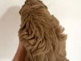 Toy Poodle  Yavrularımız