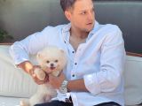 Yavru Patiler Farkı Ile Pomeranian Bo Yavrularımız