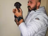 Ki̇ng Doberman Yavrulari