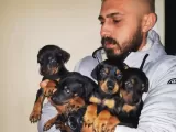 Ki̇ng Doberman Yavrulari