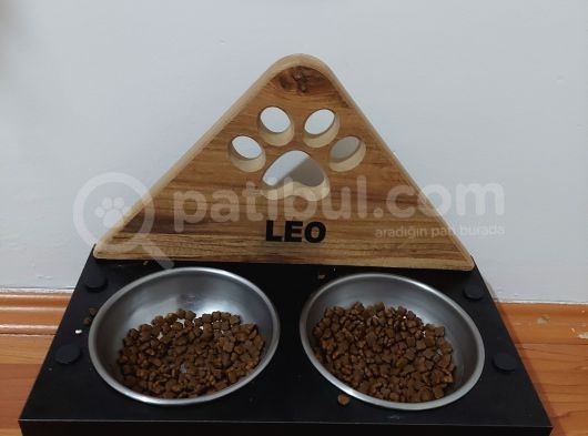 Leo British Silver 13 Aylık Dünya Tatlısı  görsel