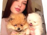Pomerani̇an Boo Di̇şi̇ Erkek Üst Kali̇te Bebekler