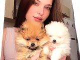 Pomerani̇an Boo Di̇şi̇ Erkek Üst Kali̇te Bebekler