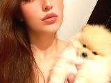 Pomerani̇an Boo Di̇şi̇ Erkek Ayi Surat Bebekler