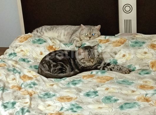 Uygun Puanla Vermek Istiyorum