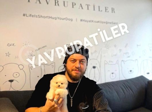 Yavru Patiler Farkı Ile