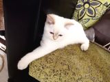 Minikler Sizi Bekliyor