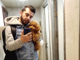 A Kalite Erkek ToyPoodle Yavrumuz