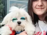 Maltese Yavruları (Bursa Köpek Okulu)