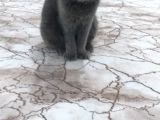 Orjinal Sıfır Burun