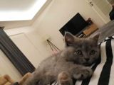 Akilli Oyuncu Ve Sessi̇z Bi̇r Poğaça
