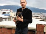 Belçika Kurdu Malinois Yavrularimiz