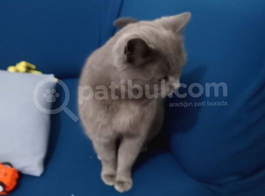 7 Aylık Kızımızı Sahiplendiriyoruz