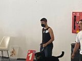 A Secereli̇ Yavrular Kif Ödüllü Rottwei̇ler Yavrusu