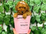 Red Brown Poodle Dişi Yavrumuz