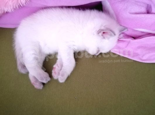 02.03.2022 görsel