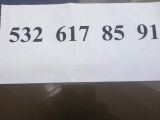 Balıkesir Merkezde Pug