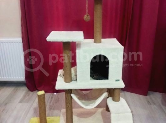 Toplu Sahi̇plendi̇rme görsel