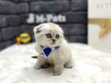 Türki̇ye Standartlarinda Bi̇r Numara
