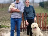 Dev Doodle Bebekler (Bursa Köpek Okulu)