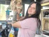 Maltipoo Yavru (Bursa Köpek Okulu)
