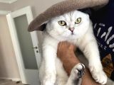 2 Yaşındaki Çakır Oğlumuz Kayboldu