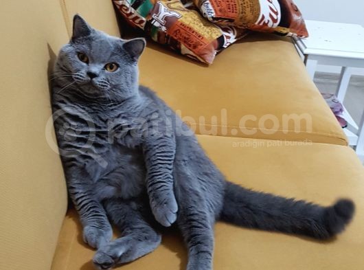 20 Aylık Oğlumuz Efe